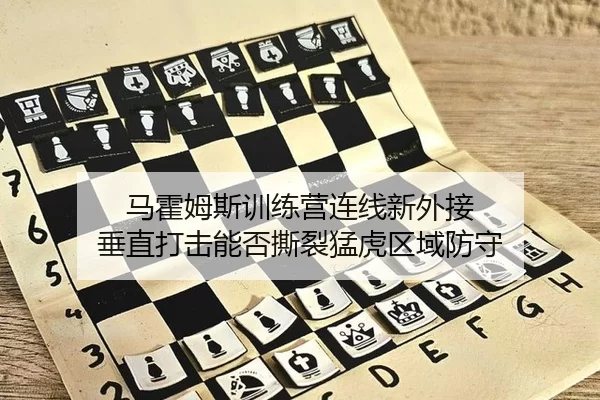 马霍姆斯训练营连线新外接 垂直打击能否撕裂猛虎区域防守